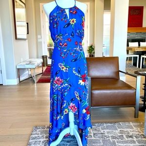 PARKER Davina Zinnia Floral Hi-Lo Dress (Size 6)